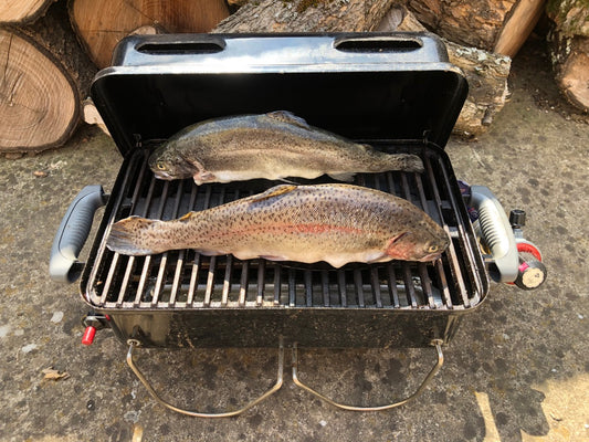 The Flying Fish - Ceramic Fish Grilling Holder Set of 2